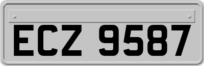 ECZ9587