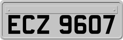 ECZ9607