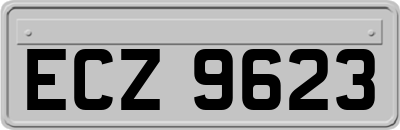 ECZ9623