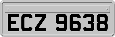 ECZ9638