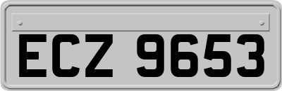 ECZ9653
