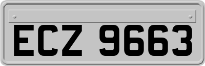 ECZ9663
