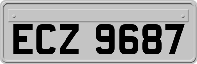 ECZ9687