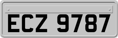 ECZ9787