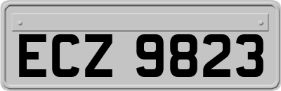 ECZ9823