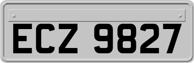 ECZ9827