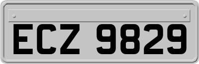 ECZ9829