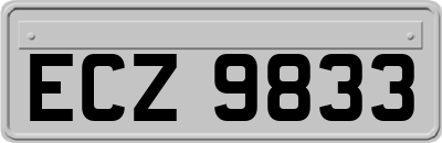ECZ9833