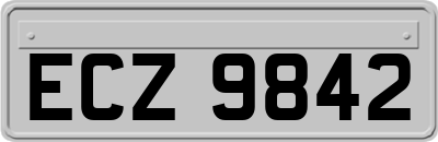 ECZ9842