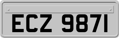 ECZ9871