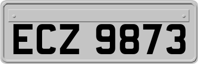 ECZ9873