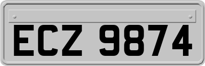 ECZ9874