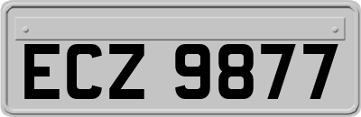 ECZ9877