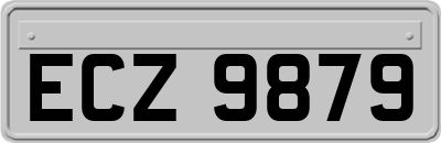 ECZ9879