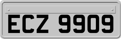 ECZ9909