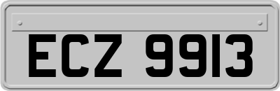 ECZ9913