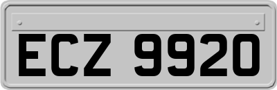 ECZ9920