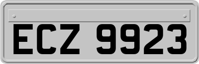 ECZ9923