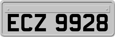 ECZ9928
