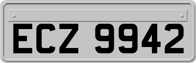 ECZ9942