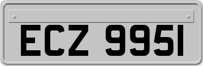 ECZ9951
