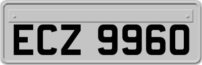 ECZ9960