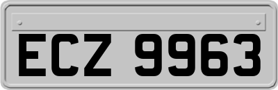 ECZ9963
