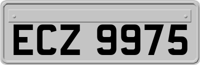 ECZ9975