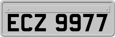 ECZ9977