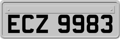 ECZ9983