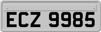 ECZ9985