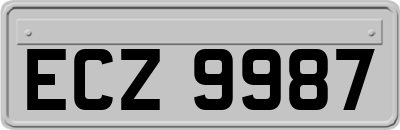 ECZ9987