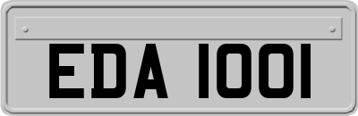 EDA1001