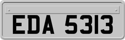 EDA5313