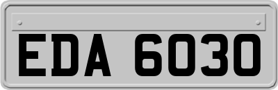 EDA6030