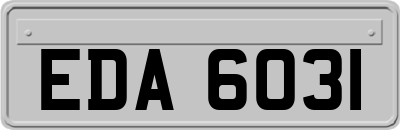 EDA6031
