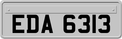 EDA6313