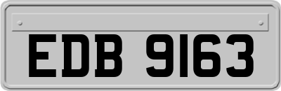 EDB9163