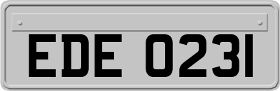 EDE0231