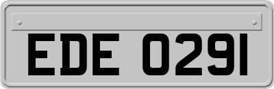 EDE0291