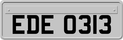 EDE0313