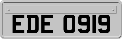 EDE0919