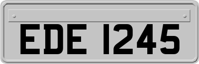 EDE1245