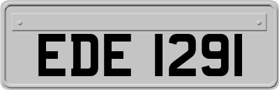 EDE1291