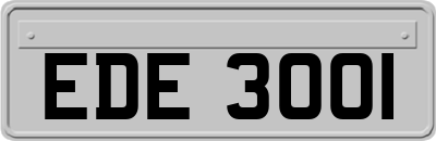 EDE3001
