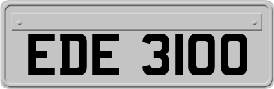 EDE3100