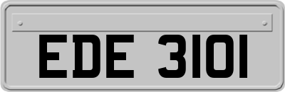 EDE3101