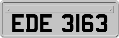 EDE3163