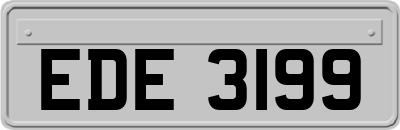 EDE3199