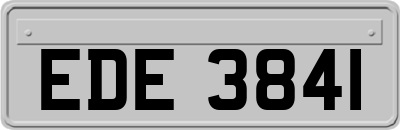 EDE3841